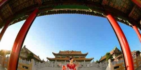 我本无意惊鸿，奈何惊鸿入我心。